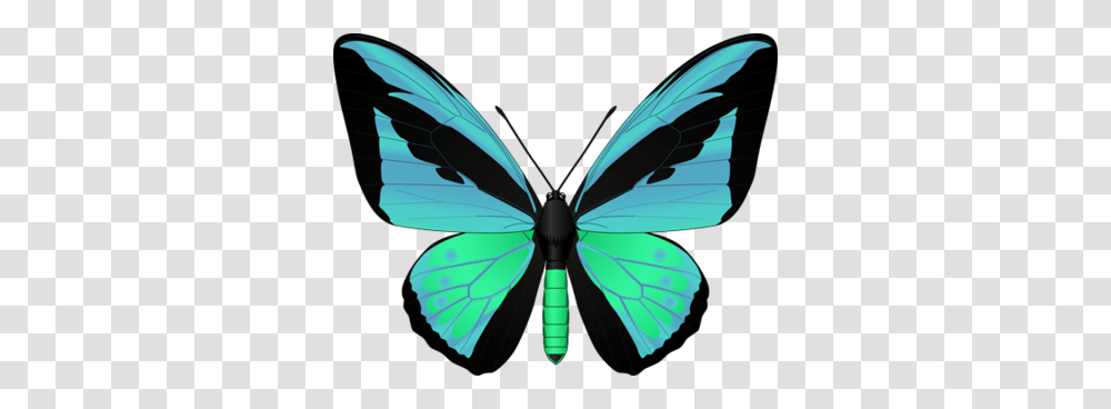 Help Bring Awareness To Alzheimers Disease Butterfly, Insect, Invertebrate, Animal, Pattern Transparent Png