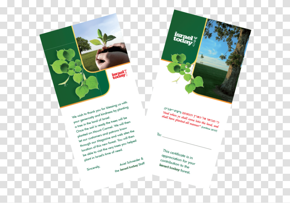 Help Plant The Land Of Israel By Planting A Trees In Brochure, Advertisement, Poster, Flyer, Paper Transparent Png