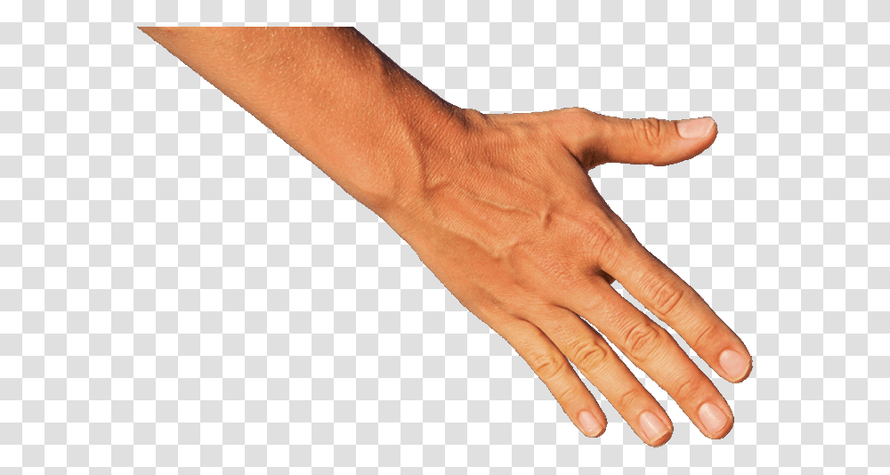 Helping Hand Arm Hand, Person, Human, Wrist, Nail Transparent Png
