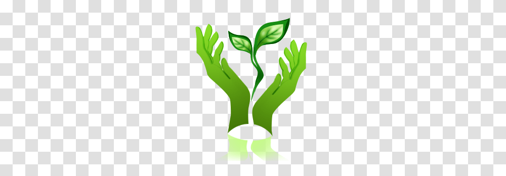 Helping Hands, Plant, Green, Produce, Food Transparent Png