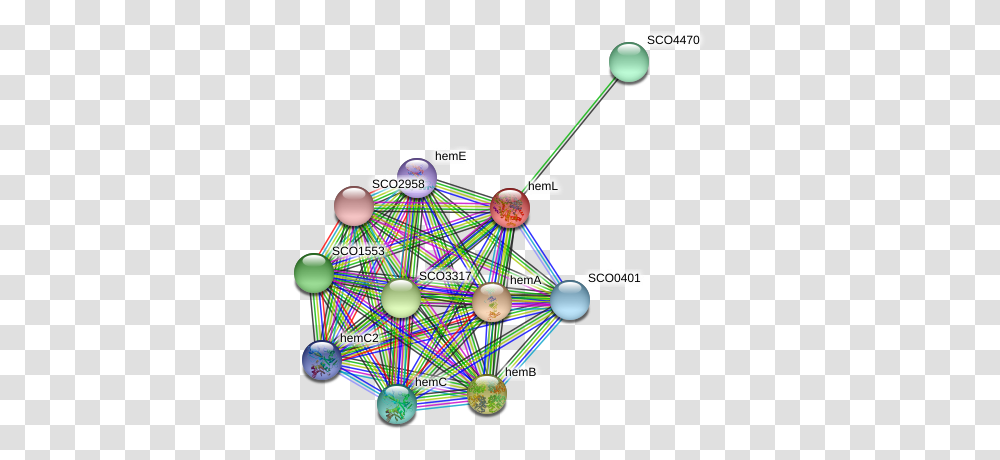 Heml Protein Circle, Network, Sphere, Diagram Transparent Png