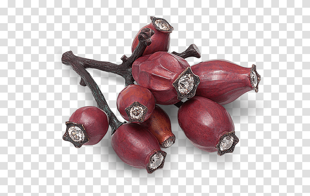 Hemmerle Brooch Shaped As A Rosehip, Plant, Food, Fruit, Weapon Transparent Png