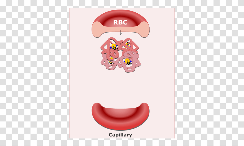 Hemoglobin Molecules In An Rbc Animation Slide Blood Function Cartoon, Mouth, Lip, Jaw, Cushion Transparent Png