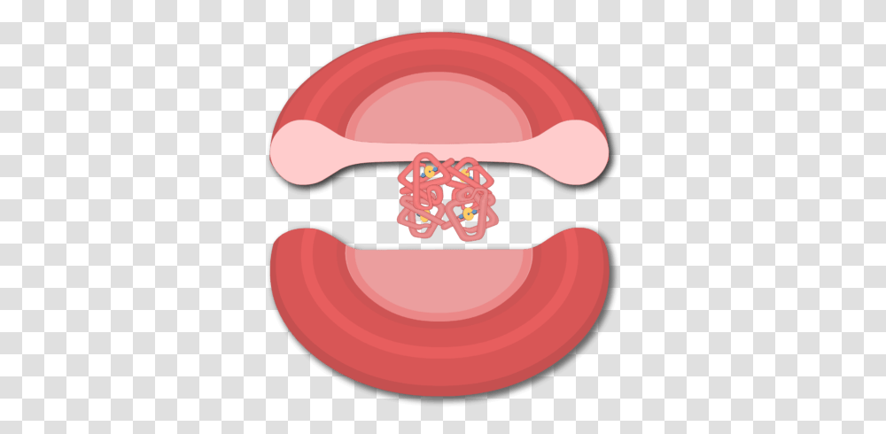 Hemoglobin Structure, Teeth, Mouth, Lip, Accessories Transparent Png