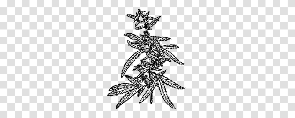 Hemp Technology, Gray, World Of Warcraft Transparent Png