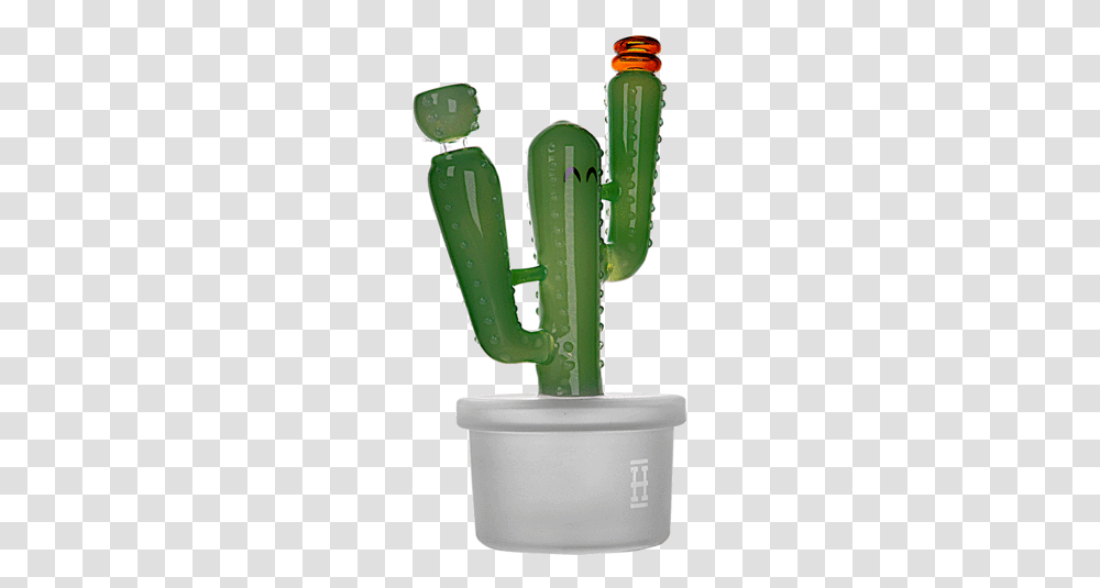 Hemper Cactus Jack Bong Xl San Pedro Cactus, Plant Transparent Png
