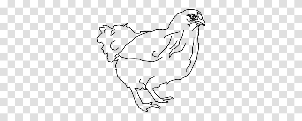 Hen Animals, Gray, World Of Warcraft Transparent Png