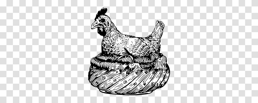 Hen Nature, Doodle, Drawing Transparent Png