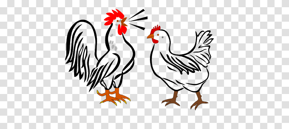 Hen And Rooster Clip Art, Chicken, Poultry, Fowl, Bird Transparent Png