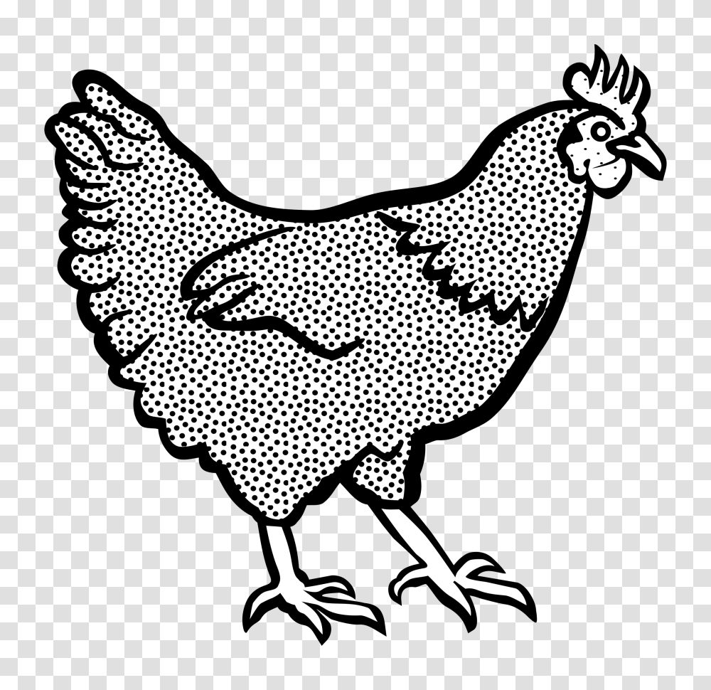 Hen, Animal, Chicken, Poultry, Fowl Transparent Png