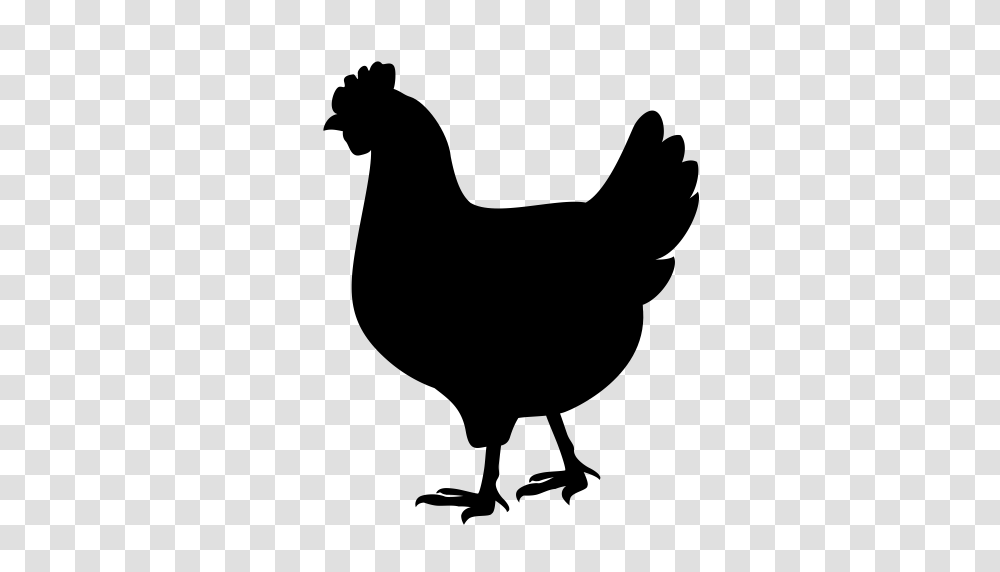 Hen Animals Bird Icon With And Vector Format For Free, Gray, World Of Warcraft Transparent Png