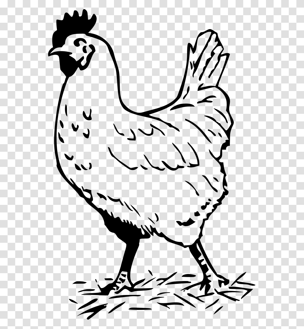 Hen Black And White, Gray, World Of Warcraft Transparent Png