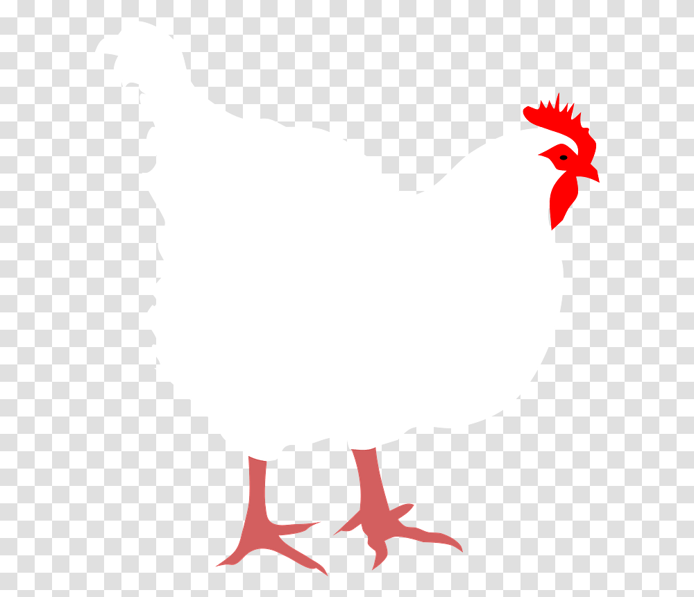 Hen By Rones Clipart Clip Art, Bird, Animal, Poultry, Fowl Transparent Png