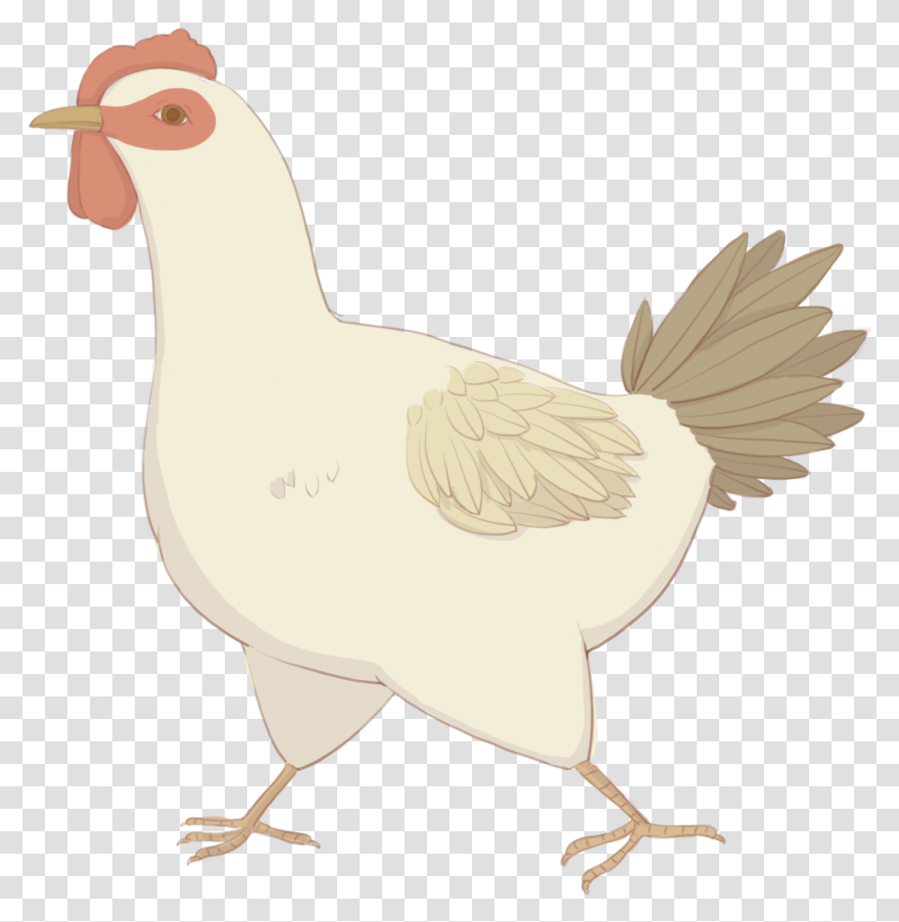 Hen Chicken, Bird, Animal, Poultry, Fowl Transparent Png