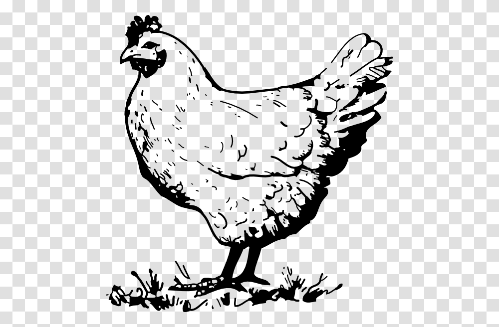 Hen Chicken Clip Art At Vector Clip Art Image Black And White Chicken Clipart, Poultry, Fowl, Bird Transparent Png