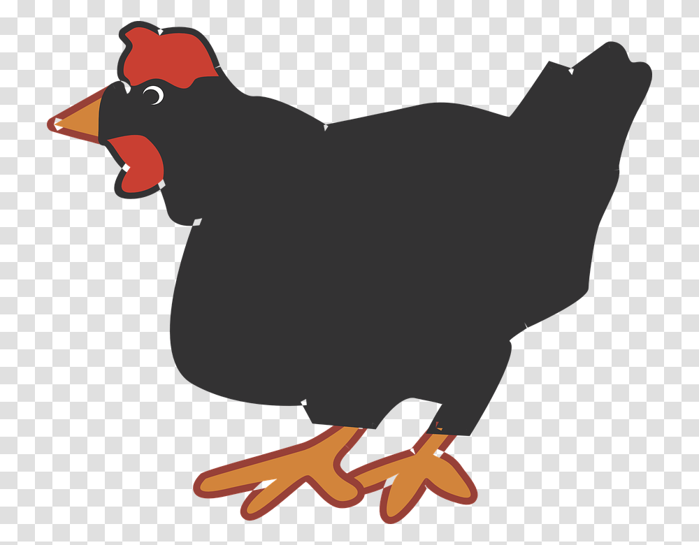 Hen Clip Art, Bird, Animal, Fowl, Poultry Transparent Png