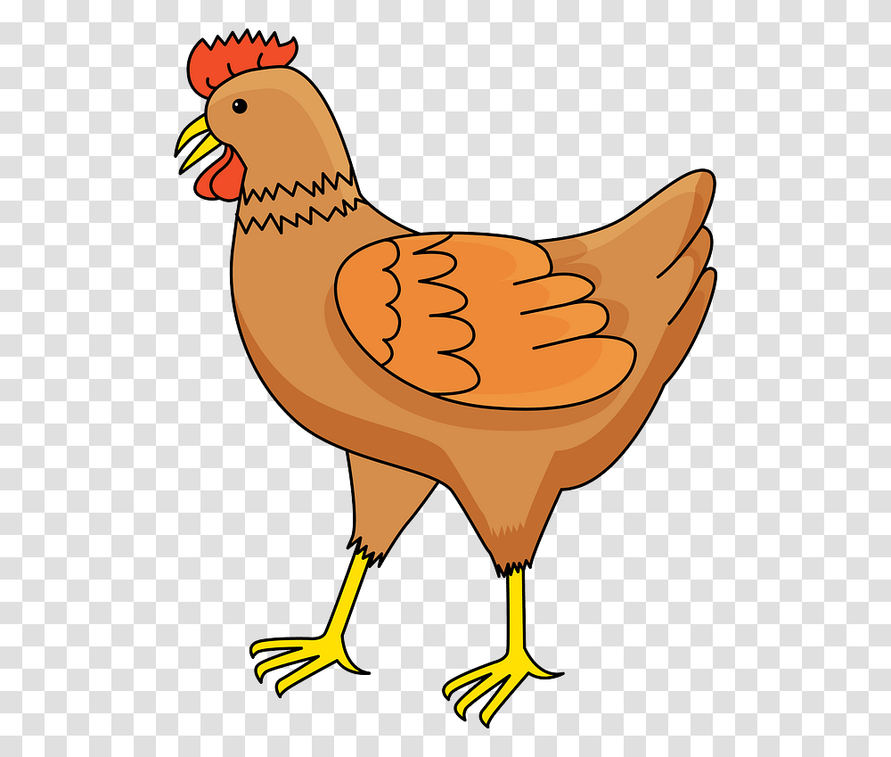 Hen Clipart, Bird, Animal, Fowl, Poultry Transparent Png