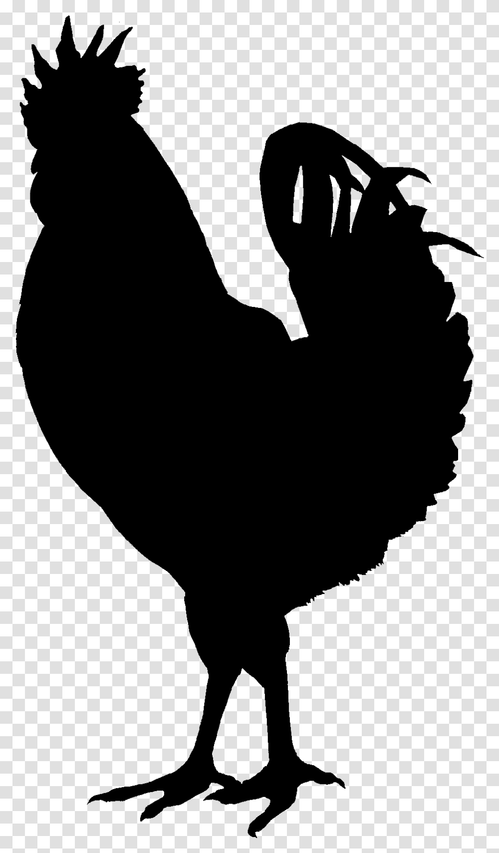 Hen Clipart Black And White Black Chicken Silhouette, Gray, World Of Warcraft Transparent Png
