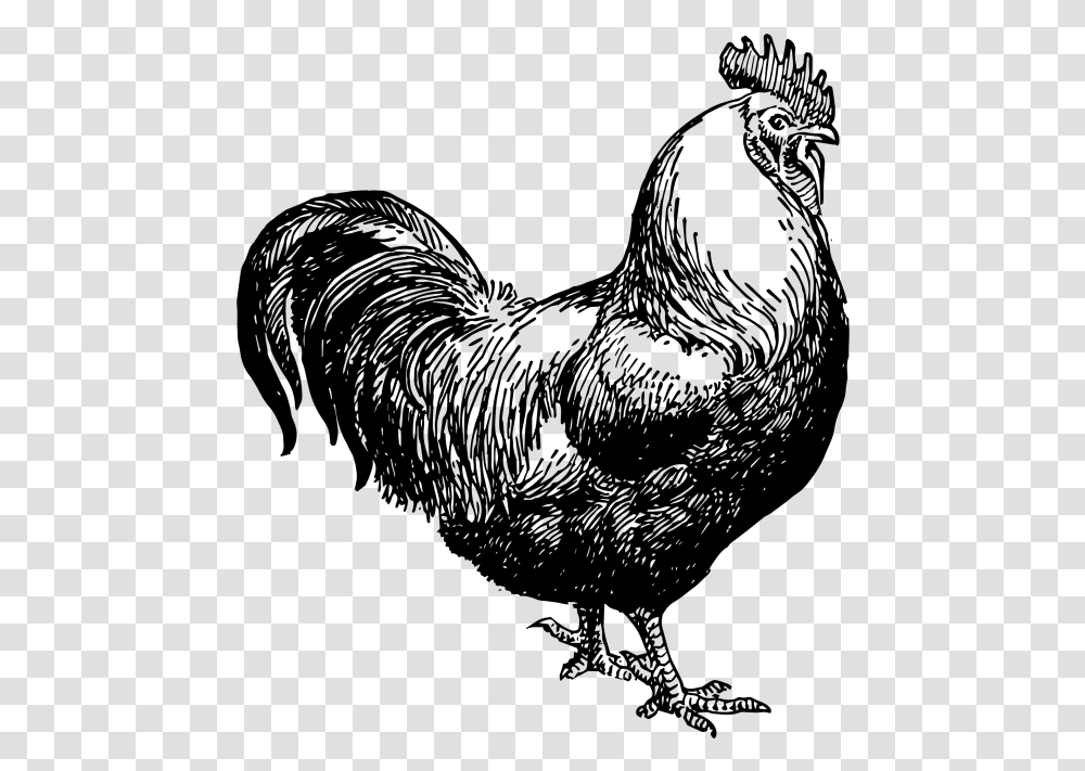 Hen Clipart Black And White Chicken Black And White Clipart, Gray, World Of Warcraft Transparent Png