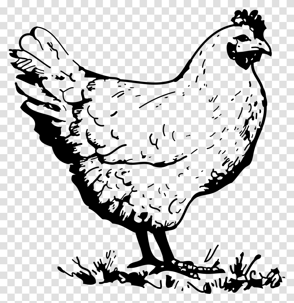 Hen Clipart Black And White, Gray, World Of Warcraft Transparent Png