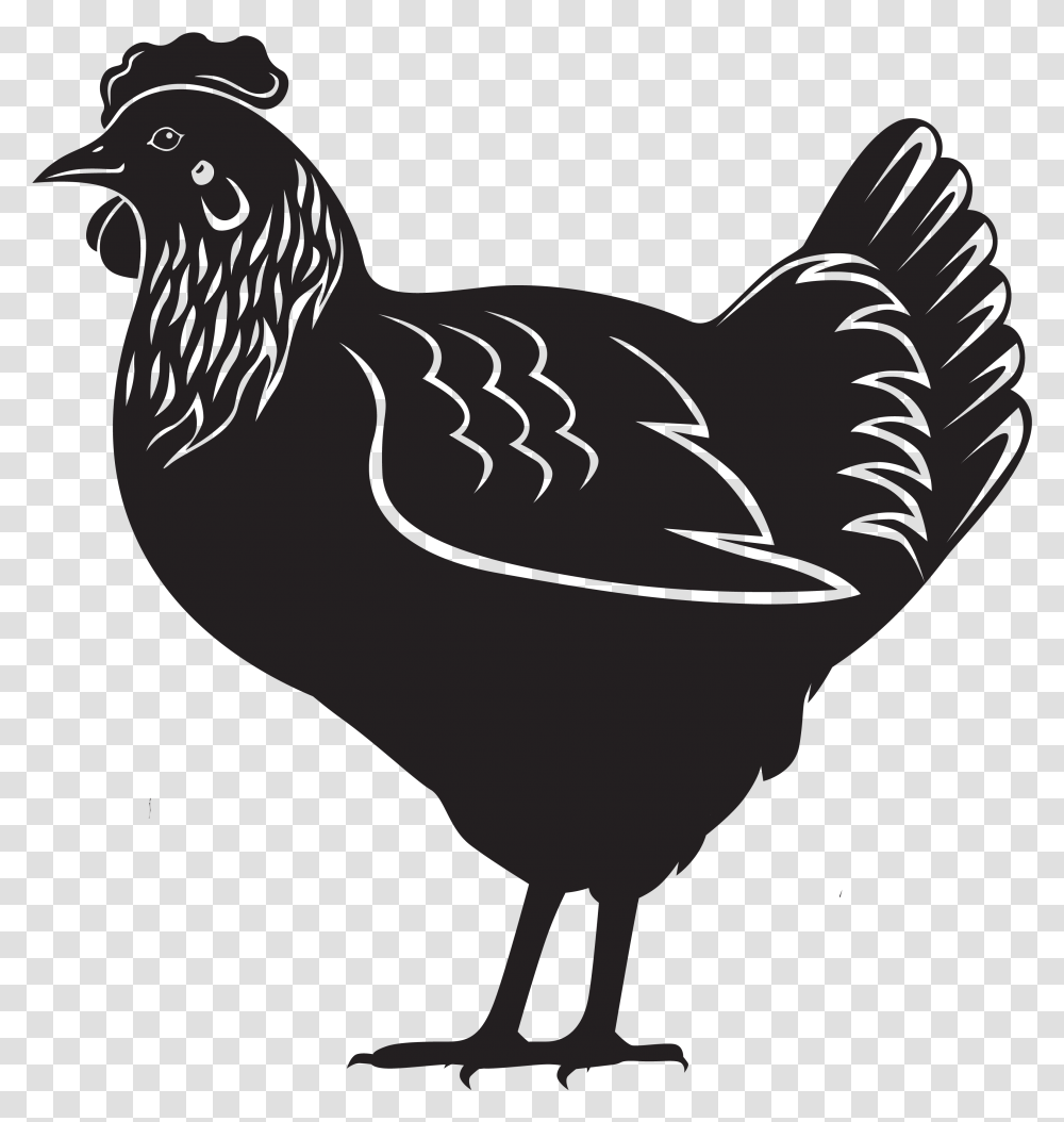 Hen Download Layers Chicken Black And White, Poultry, Fowl, Bird, Animal Transparent Png