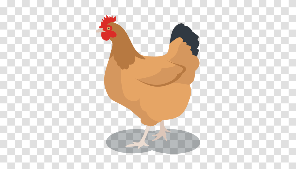 Hen Feathered Animal, Chicken, Poultry, Fowl, Bird Transparent Png