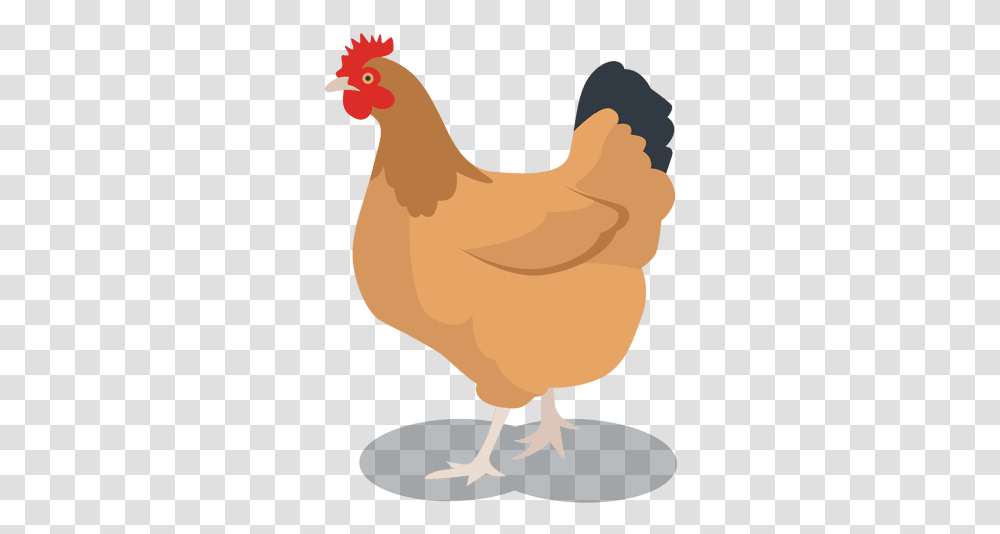 Hen Feathered Animal & Svg Vector File Hen Vector, Chicken, Poultry, Fowl, Bird Transparent Png