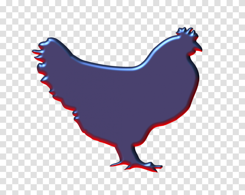 Hen Graphic, Chicken, Poultry, Fowl, Bird Transparent Png