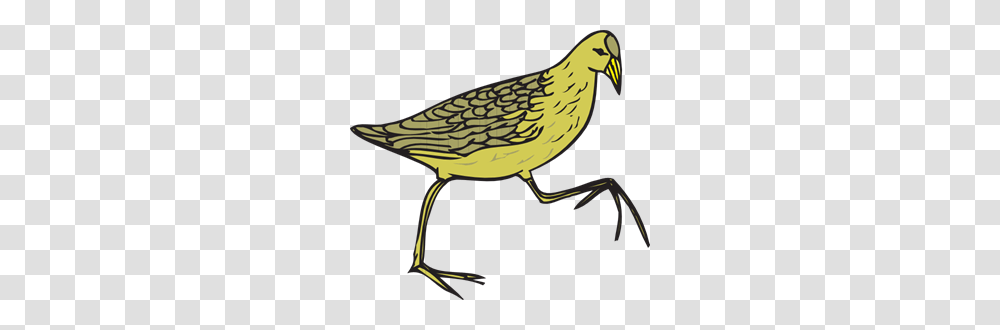 Hen Images Icon Cliparts, Animal, Bird, Beak, Finch Transparent Png