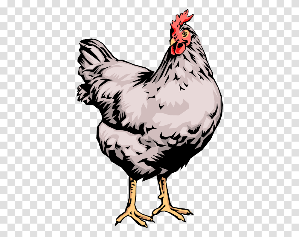 Hen Laying Egss Clip Art, Chicken, Poultry, Fowl, Bird Transparent Png