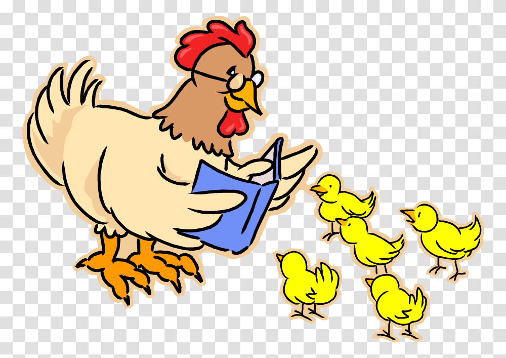 Hen Reading No Story Time, Poultry, Fowl, Bird, Animal Transparent Png