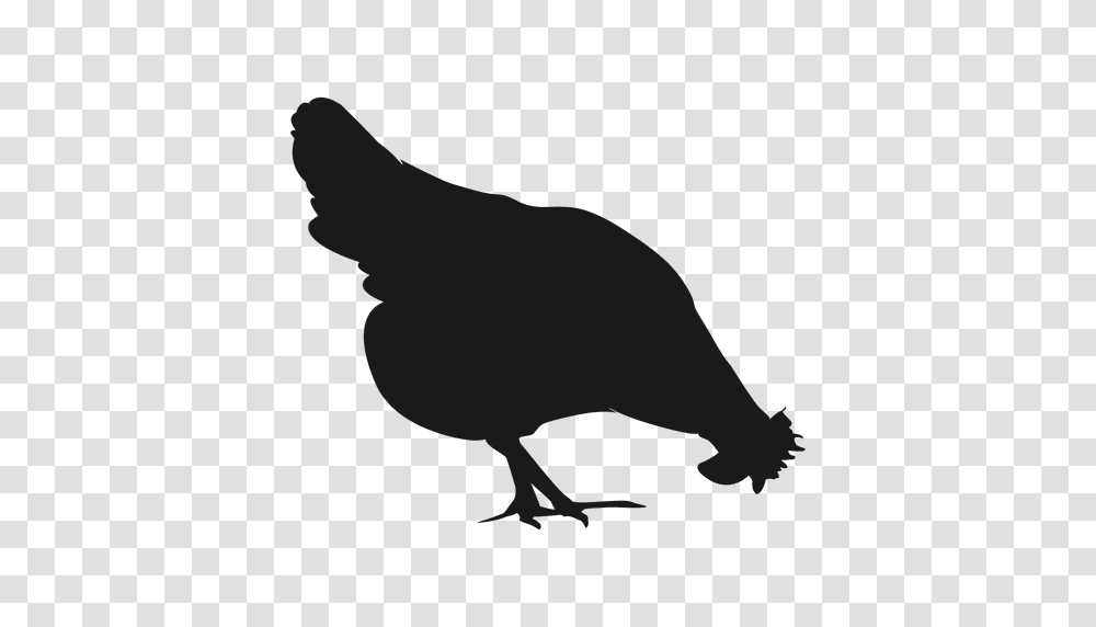 Hen Silhouette, Bird, Animal, Fowl, Poultry Transparent Png