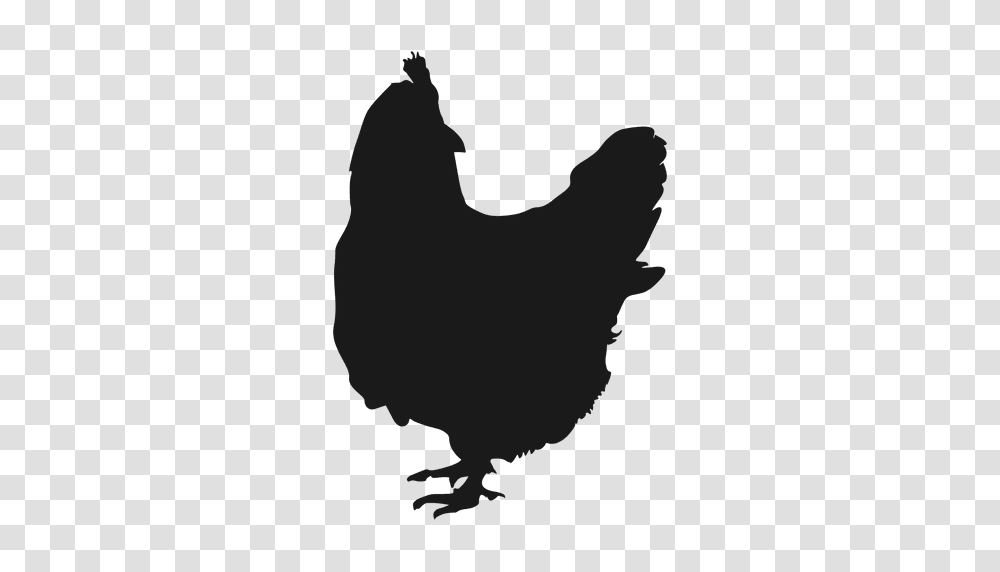 Hen Silhouette, Chicken, Poultry, Fowl, Bird Transparent Png