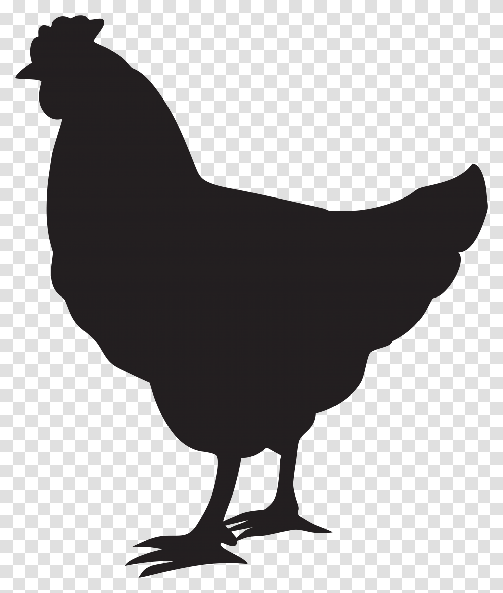 Hen Silhouette Clip Art, Bird, Animal, Person, Human Transparent Png