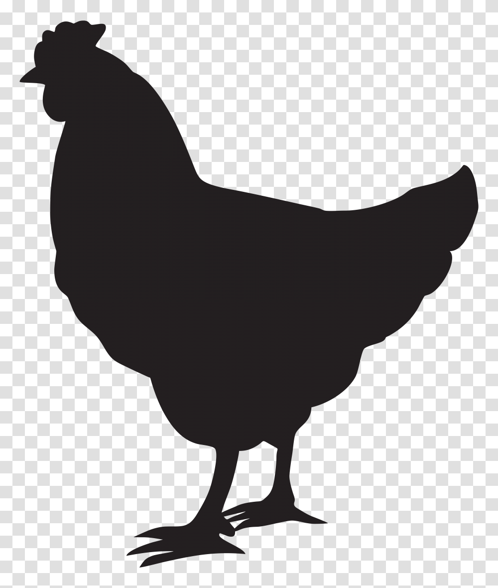 Hen Silhouette Clip Art, Chicken, Poultry, Fowl, Bird Transparent Png