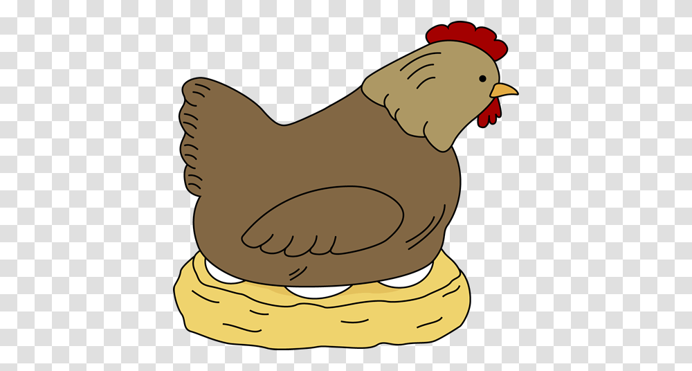 Hen Sitting On Eggs Eggs Hens, Poultry, Fowl, Bird, Animal Transparent Png
