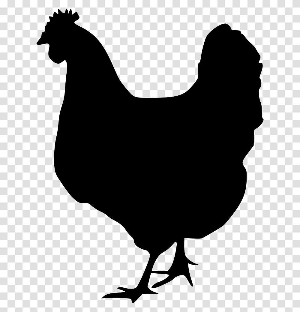 Hen Vector Svg Black And White Chicken Svg, Poultry, Fowl, Bird, Animal Transparent Png