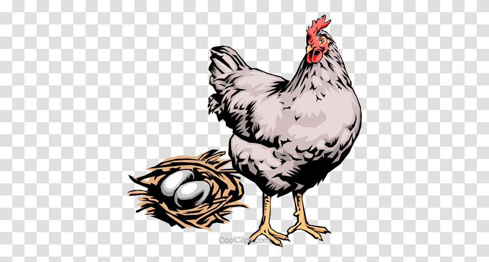 Hen With Eggs Royalty Free Vector Clip Art Illustration, Chicken, Poultry, Fowl, Bird Transparent Png