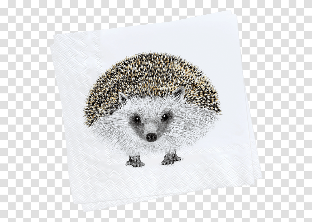 Henry Napkin Web 1000x Domesticated Hedgehog, Mammal, Animal, Porcupine, Rodent Transparent Png