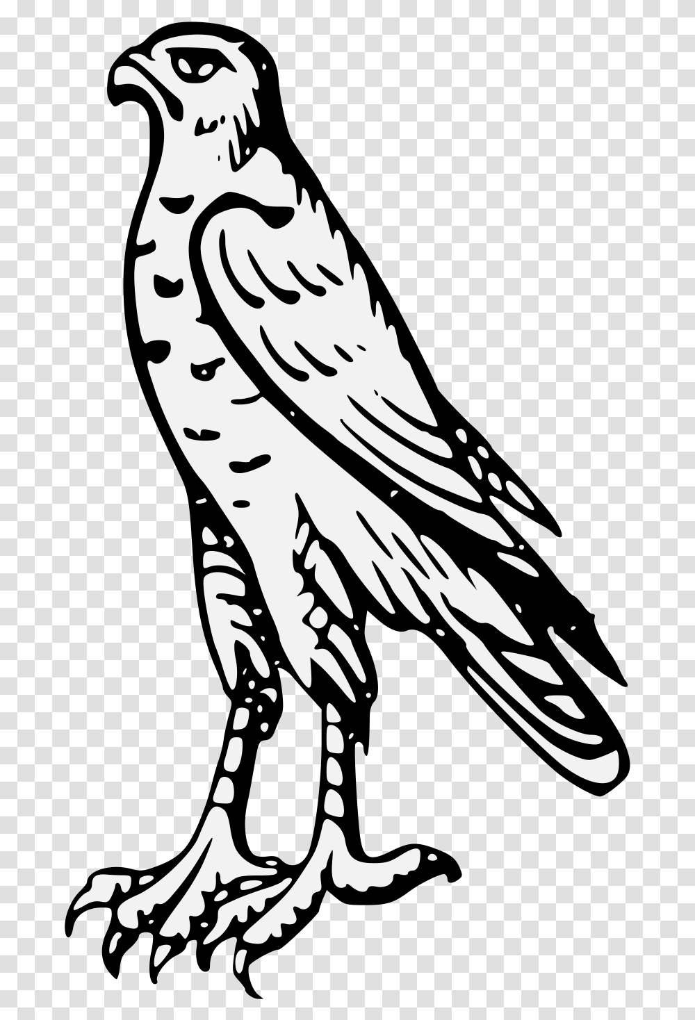 Heraldic Hawk, Bird, Animal, Stencil, Jay Transparent Png