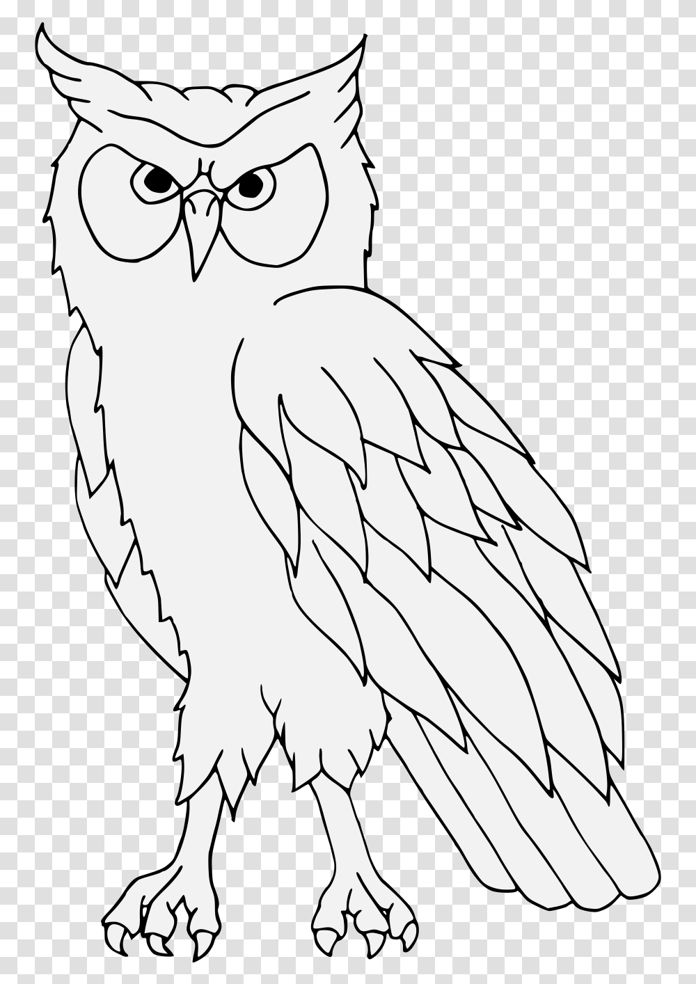 Heraldic Owl, Animal, Bird, Person, Human Transparent Png