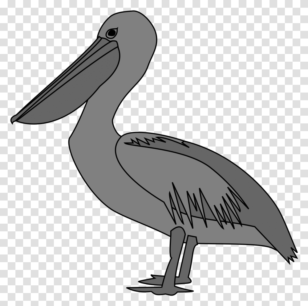 Heraldic Pelican, Bird, Animal, Hammer, Tool Transparent Png