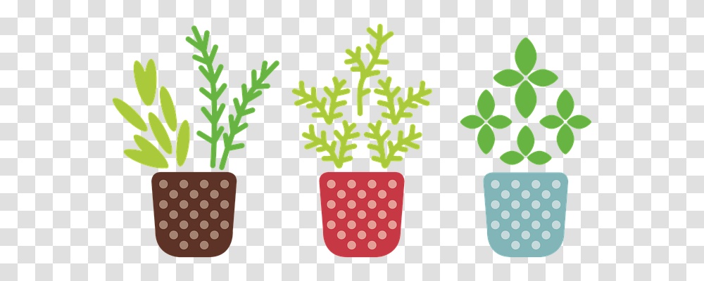 Herb Nature, Green, Plant, Tree Transparent Png