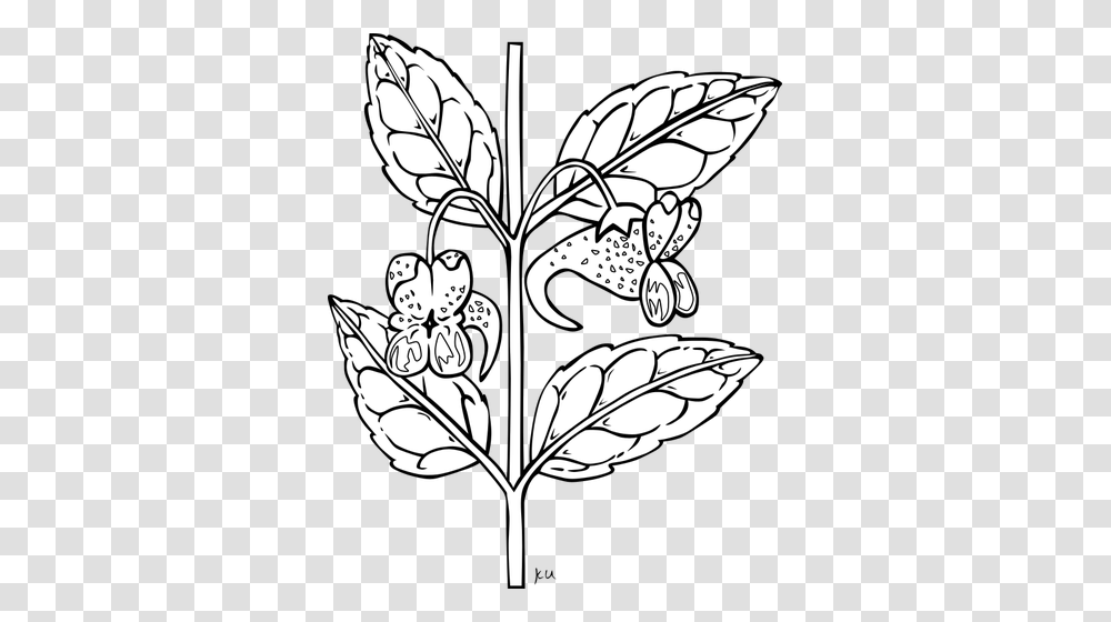 Herb Branch, Stencil, Drawing Transparent Png