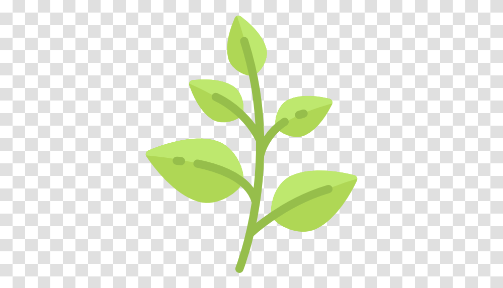 Herb Free Nature Icons Flower, Plant, Leaf, Spinach, Vegetable Transparent Png