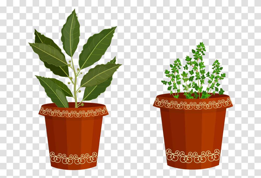 Herb Garden Clipart Cliparthut Free Clipart Clip Art, Plant, Leaf, Pot, Hemp Transparent Png
