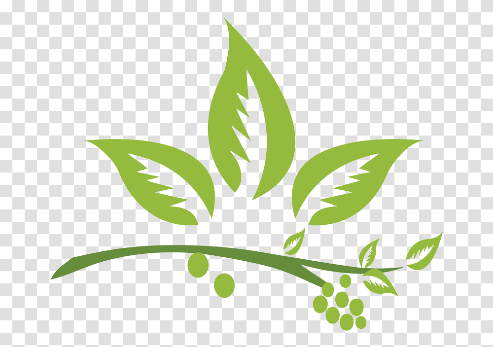 Herb, Green, Plant Transparent Png