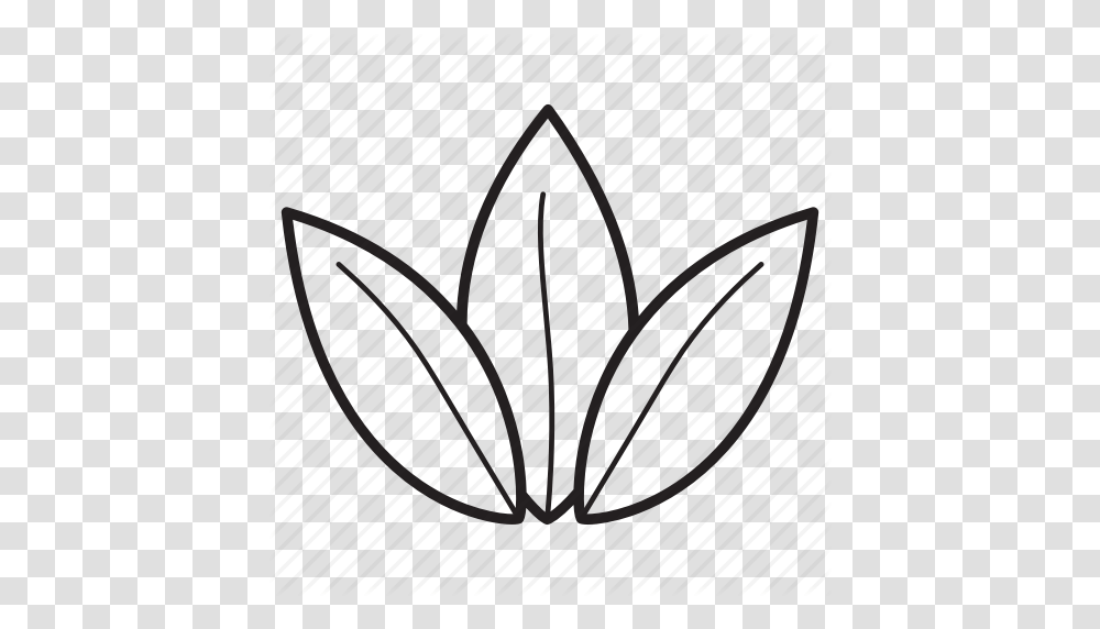 Herb Herbal Leaves Plant Tea Tea Leaf Icon, Pattern Transparent Png