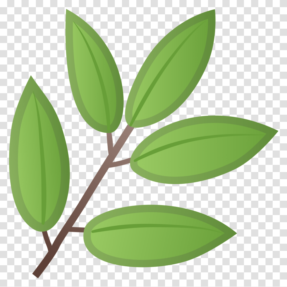 Herb Icon Noto Emoji Animals Nature Iconset Google Leaf Emoji, Plant, Flower, Blossom, Annonaceae Transparent Png