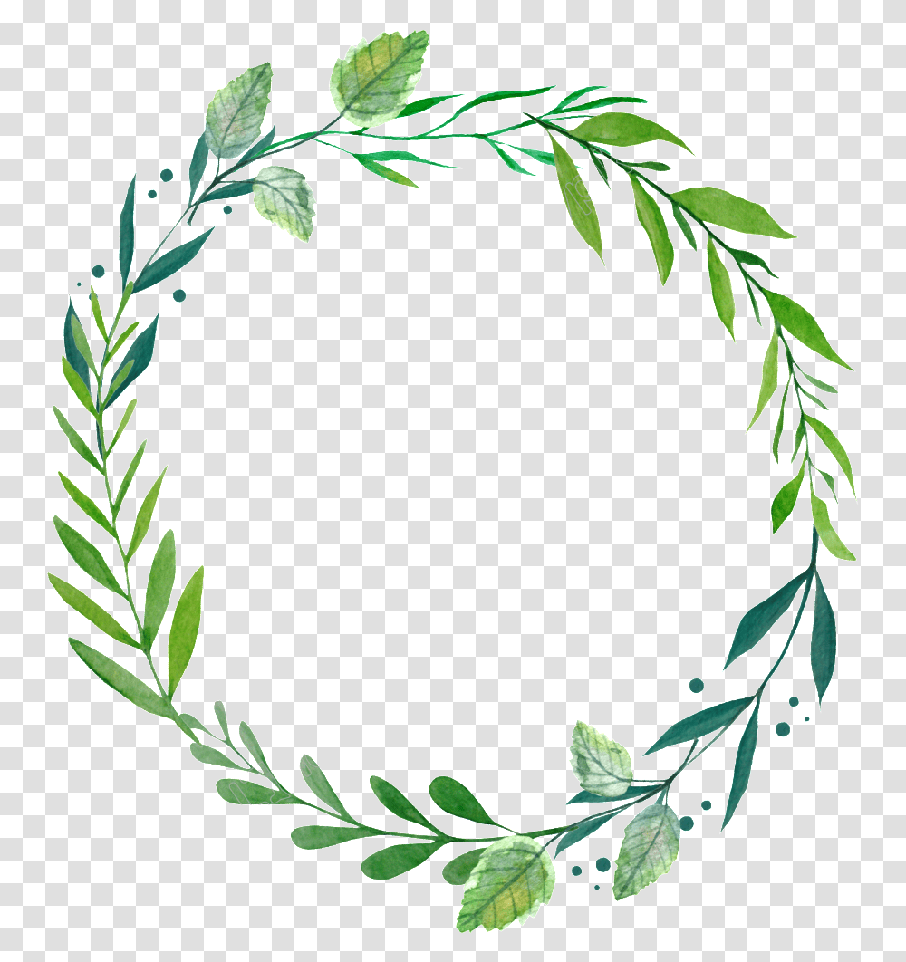 Herb Wreath Background Forest, Plant, Pattern Transparent Png